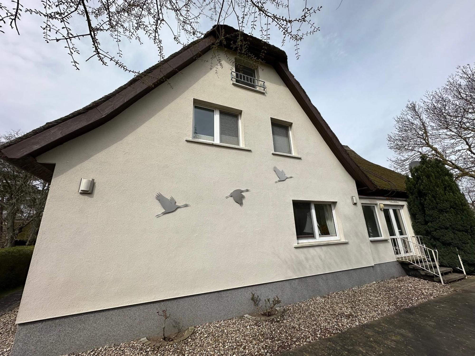 Boddenhaus Darss Appartement Wieck Buitenkant foto
